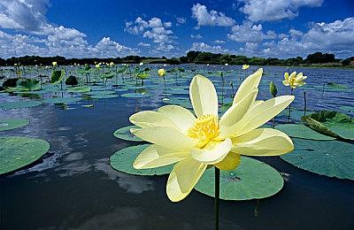 KK官方对战平台怀旧专区正式上线！重返洛丹伦，回到RPG黄金年代！